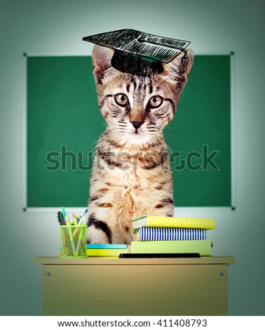 Cat school- funny cat sitting on sits at a school desk.