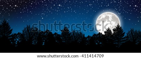 Panoramic starry night landscape full vector color banner