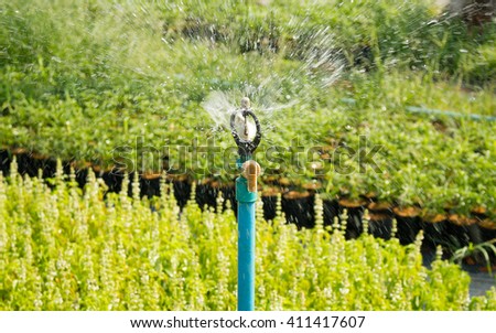 sprinkler Irrigation System Close Up. Water spraying irrigation system being used in flower garden.