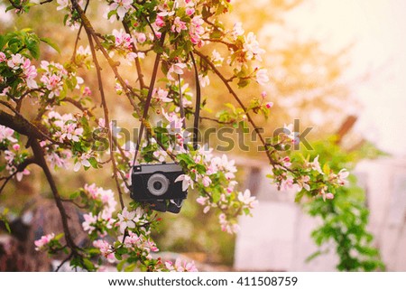Vintage retro the camera hangs on an apple-tree in sunny spring day
