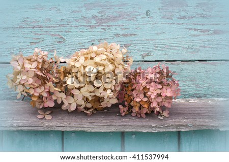 Flowers background. Dried flowers on the old board. Royalty-Free Stock Photo #411537994