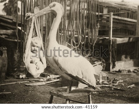 Vintage photo of a stork,  holding a baby, slung from its large bill Royalty-Free Stock Photo #41159