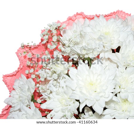 Bunch of flowers on the white background.