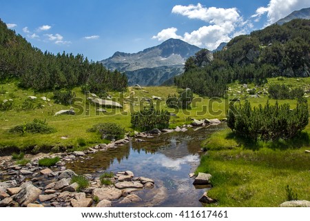 Clean Mountain River, Pirin Mountain, Bulgaria Royalty-Free Stock Photo #411617461