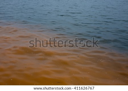 Red tide phenomenon on a blue sea  Royalty-Free Stock Photo #411626767