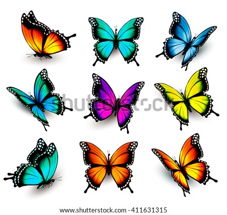 Collection of colorful butterflies, flying in different directions. Vector.
