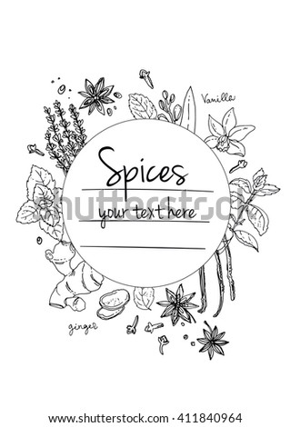Herbs. Spices. Italian herb drawn black lines on a white background. Vector illustration. Background with herbs with window for text