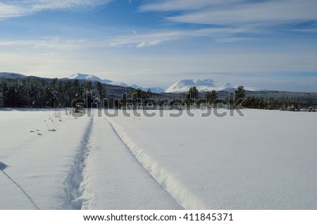 dreamy snowy field in winter sunshine with mountain and forest background