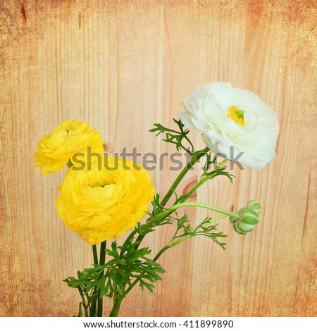 Colorful beautiful flowers against the wood background. Nature background.  Old paper texture. Vintage style image