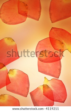 background with roses-leaves
