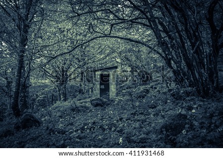 Abandoned haunted house in the gothic wood