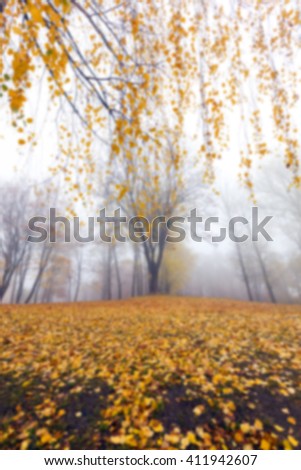  a park in the autumn, during cloudy weather, late autumn, defocused