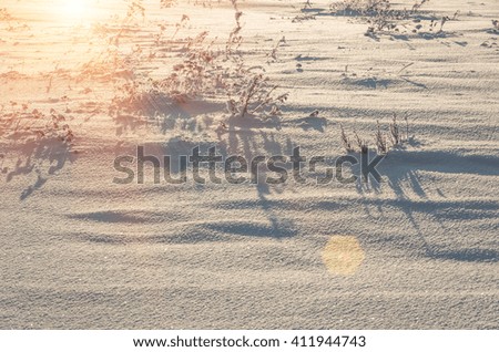snow-covered field in winter, snow and field, snow and Christmas atmosphere