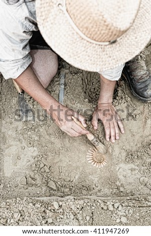 Paleontologist working in the field, recovering ancient ammonite fossil Royalty-Free Stock Photo #411947269