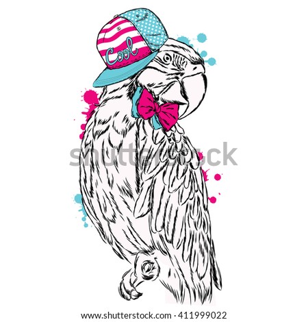 Funny parrot wearing a cap. Vector illustration.