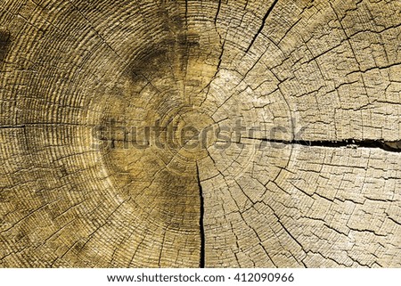 Wooden logs wall of old rural house as background
