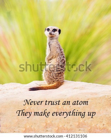 A concept picture of a meerkat warning you never to trust an atom as they make up everything, a play on the word atom and its place as the basis of all matter