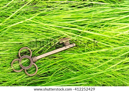 Golden key on a background of green grass