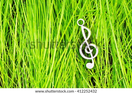 Treble clef on a background of green grass
