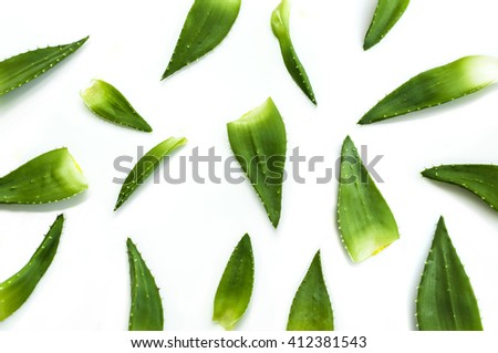 Set of aloe vera leaves isolated on white Royalty-Free Stock Photo #412381543