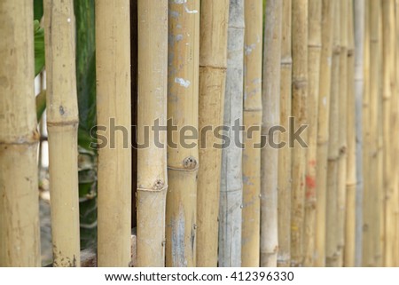 rattan, bamboo, curtains, mats, nature, natural, plant, shrub, tree, leaves, green, brown, firm, private terrace, dried, stick, rattan, background,  