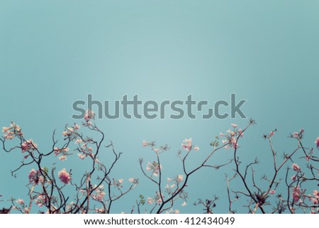 Blurred background of leafless tree branch with pink flowers against blue sky background, toned image.