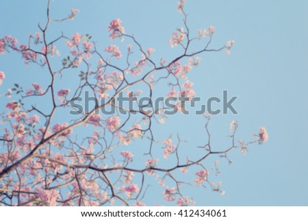 Blurred scene of Leafless tree branch with pink flowers against blue sky background, toned image.