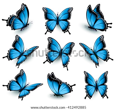 Set of beautiful blue butterflies. Vector.