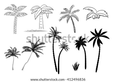 Collection of images of palm trees vector format. Line and silhouette of palm trees isolated on white background