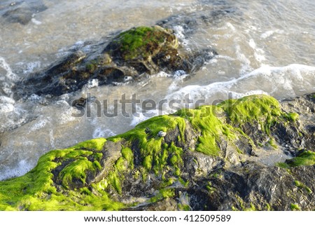 Wave & Sand,stone,green sea moss on beach background:select focus with shallow depth of field:ideal use for background.