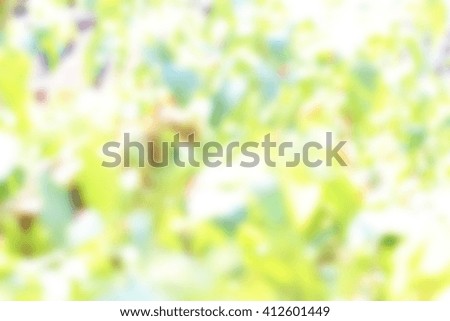 Stock Photo blur leaves as a background