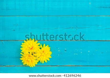 Blank antique rustic teal blue wood sign with yellow spring flowers border 