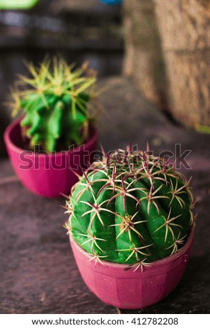 Beautiful Cactus plant in flowerpot art