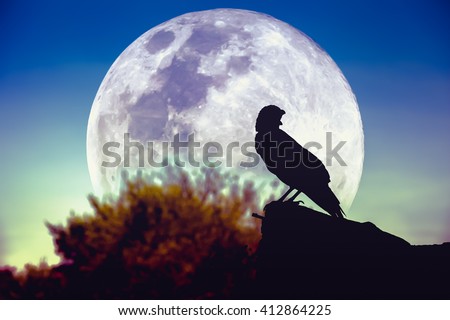 Beautiful night sky with full moon, tree and silhouette of crow on stone that can be used for halloween. Vintage picture style. Outdoors.