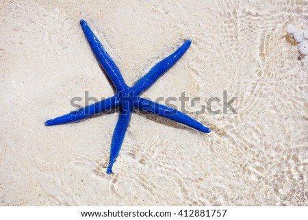 Blue starfish on the white tropical beach