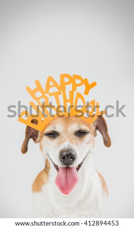 Happy birthday card with laughing joy dog Jack Russell terrier. Grey ( gray ) background orange word on the head.  Vertical