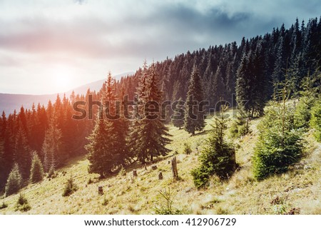 Great view of the valley which glowing by sunlight. Dramatic scene and picturesque picture. Location place Carpathian, Ukraine, Europe. Beauty world. Retro and vintage style. Instagram toning effect