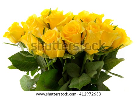  Yellow rose  bouquet isolated.