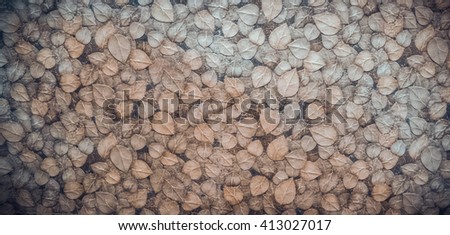 vignetting concrete wall striped leaves Texture background