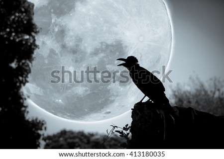 Beautiful night sky with full moon, tree and silhouette of crow on stone that can be used for halloween. Vignette and vintage picture style. Outdoors.