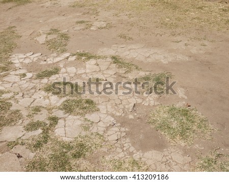 concrete pavement blocks with grass