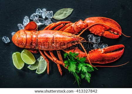 Top view of whole red lobster with ice and lime on a black slate plate Royalty-Free Stock Photo #413327842