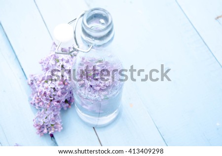 violet lilac in a vase ,still life