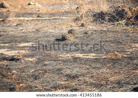 Landscape of Burned grass - dark black