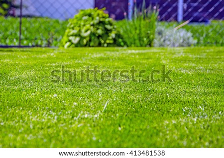 green grass background energy garden 