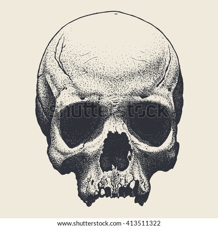Vector hand drawn skull