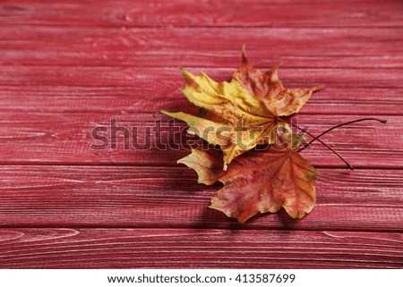 Autumn leafs on a red wooden table