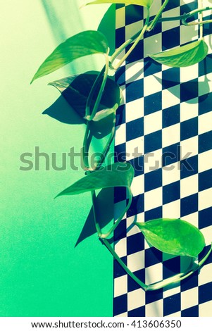 green leaves on colored background