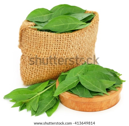 Henna leaves in sack and a wooden bowl over white background