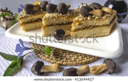 The white rectangular crockery with slices of cake with chocolate mushrooms